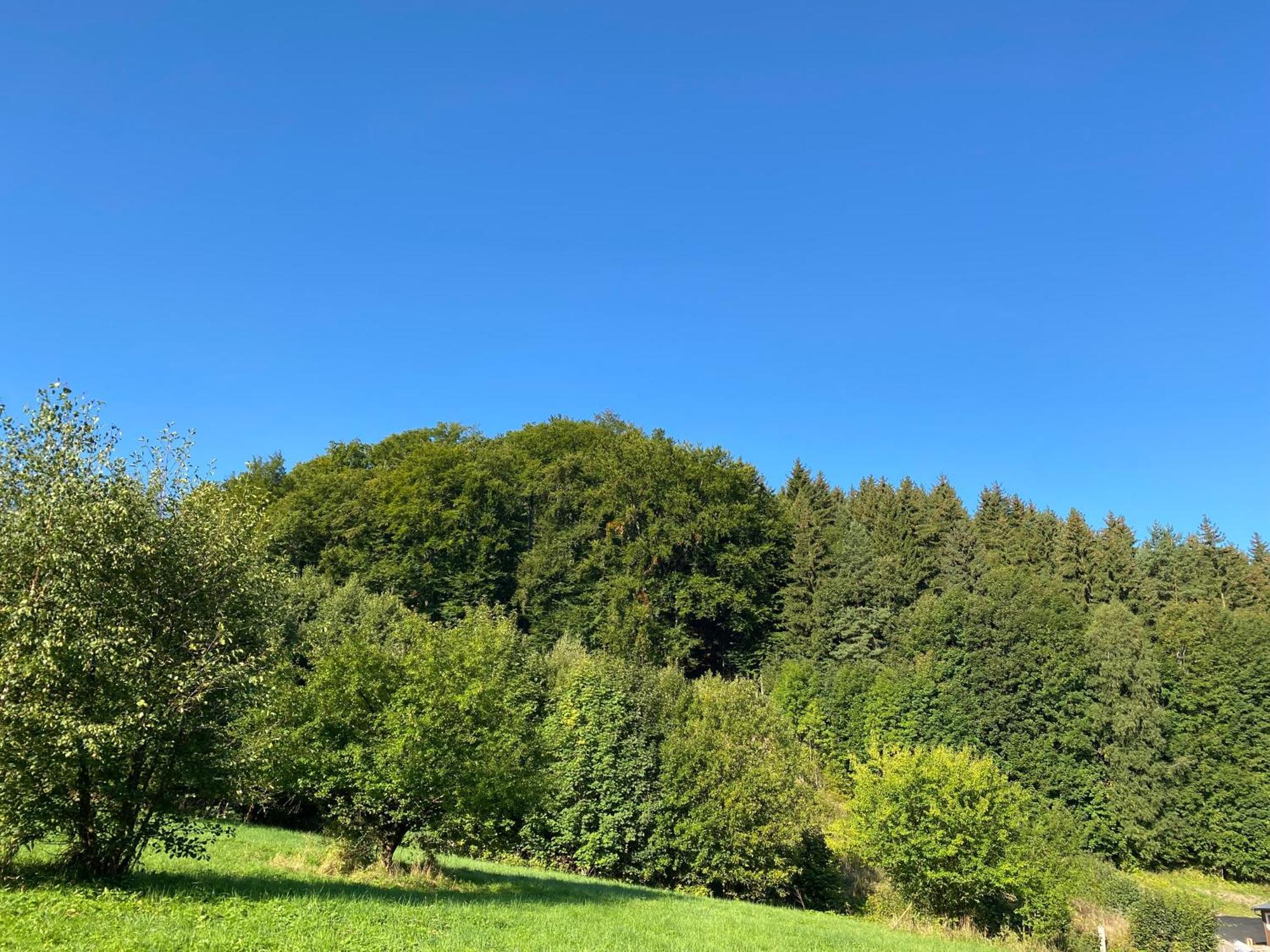 Chata Perkaska Žacléř Exterior foto